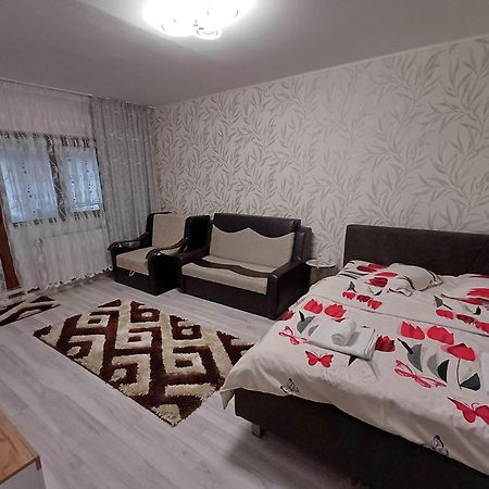 Garsoniera George Apartment Tirgu Ocna Exterior photo