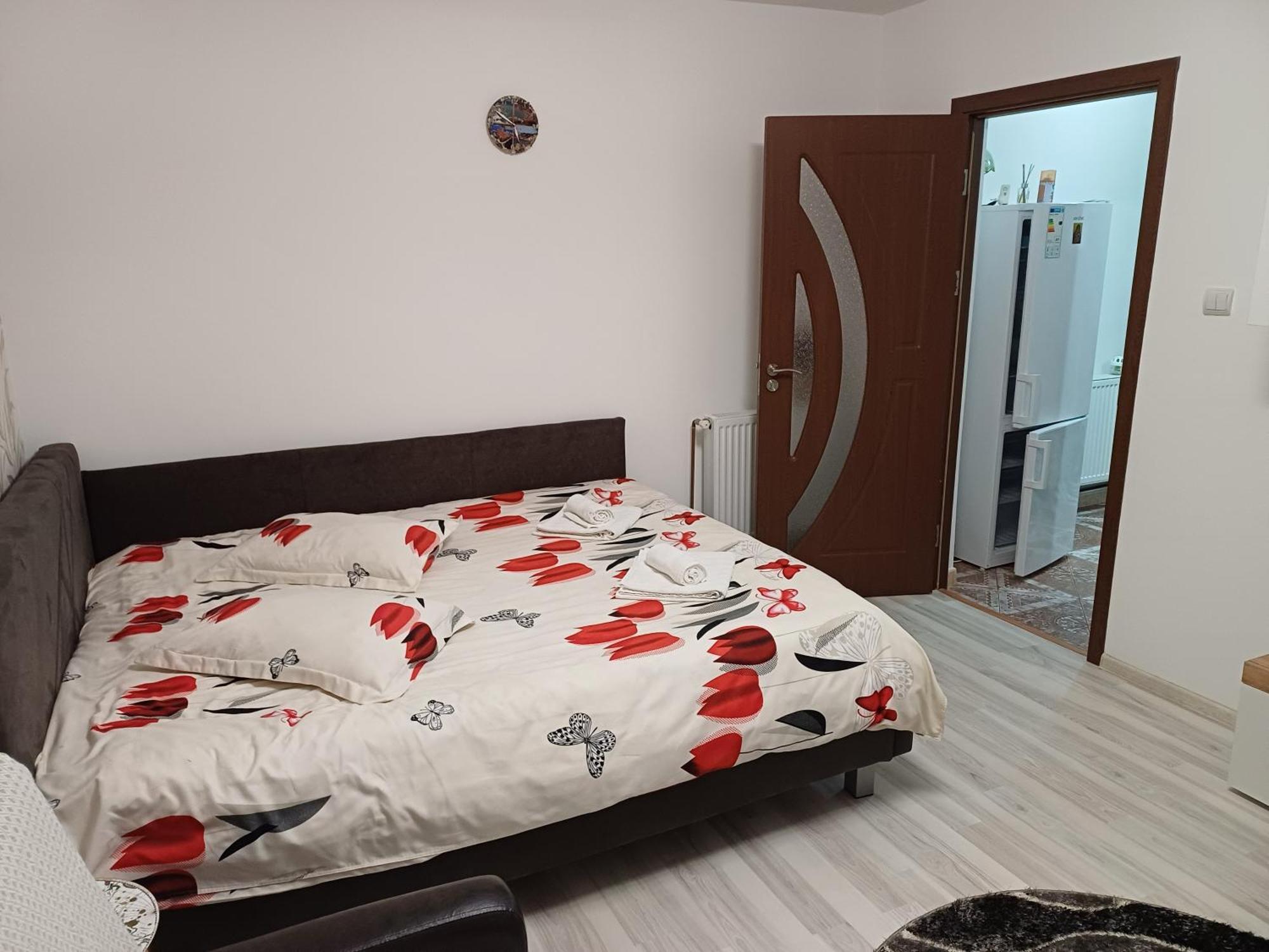 Garsoniera George Apartment Tirgu Ocna Exterior photo